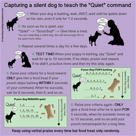 Teach the Quiet Command Teach the Quiet Command